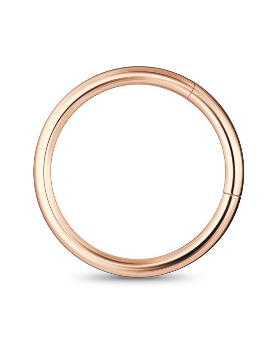 plain hoop earring
